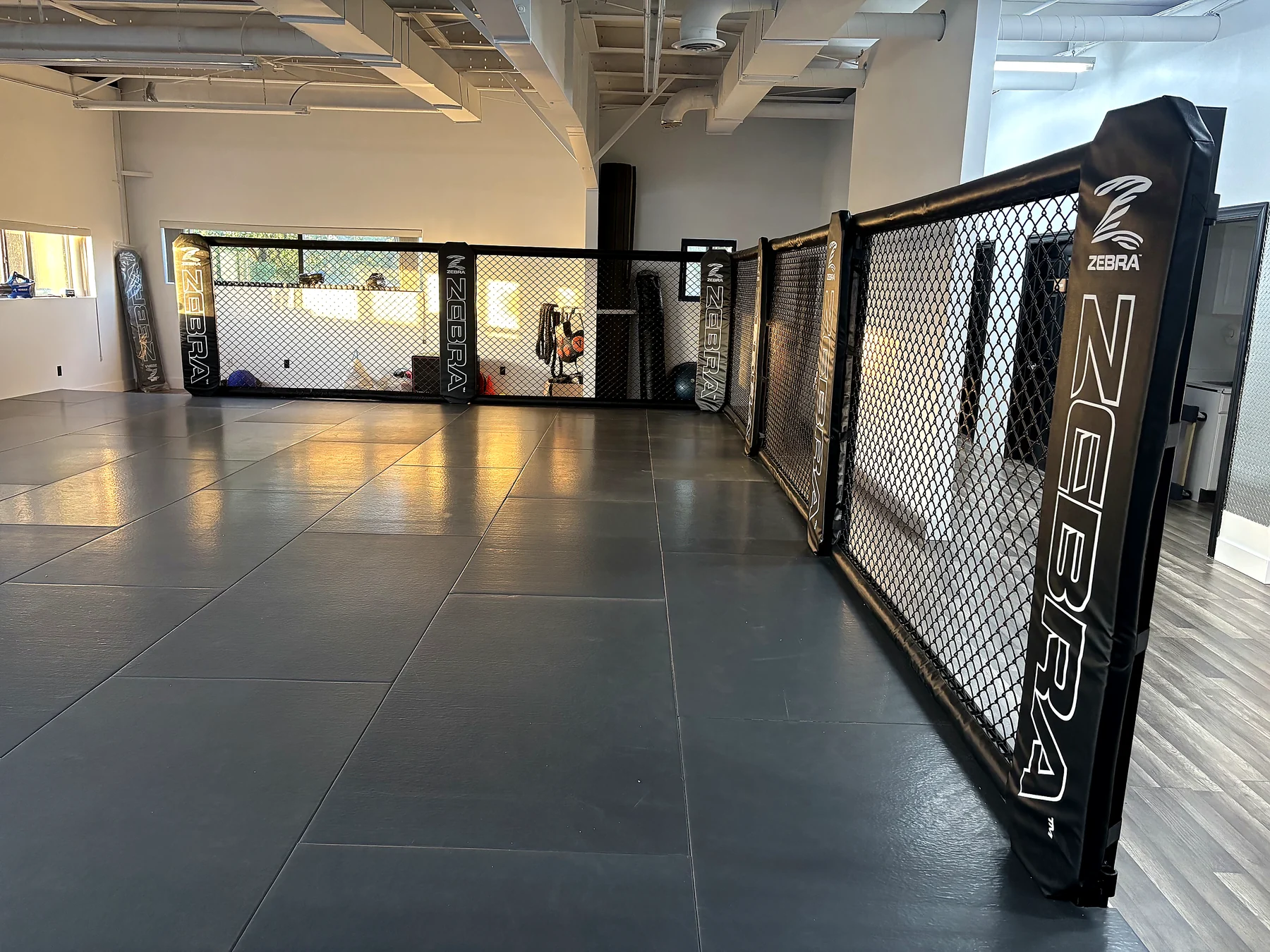 Iron Shepherd Fight Club mat space with the training cage in view