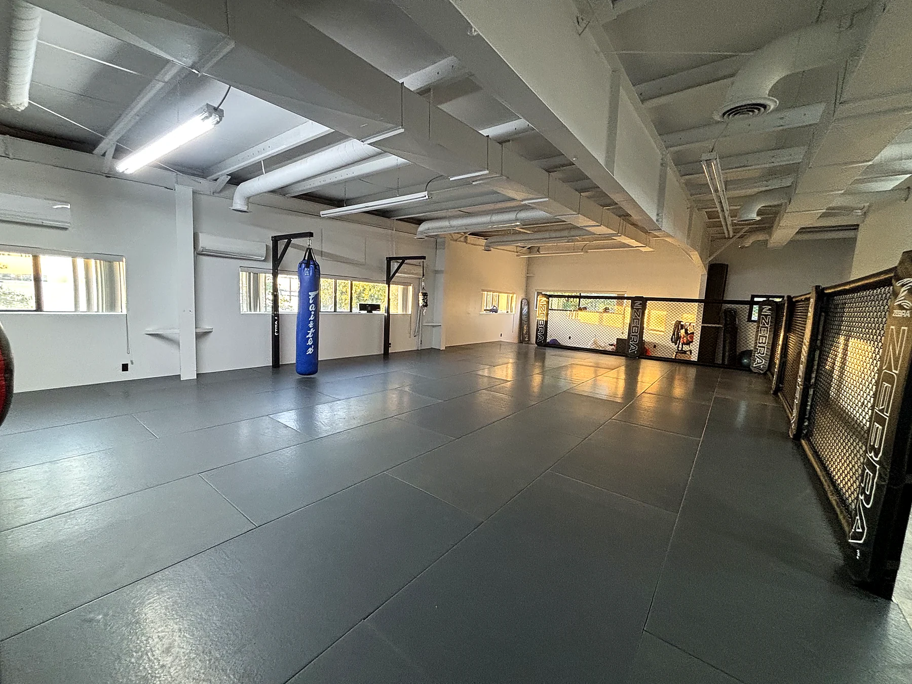 Wide view of the Iron Shepherd training floor and cage