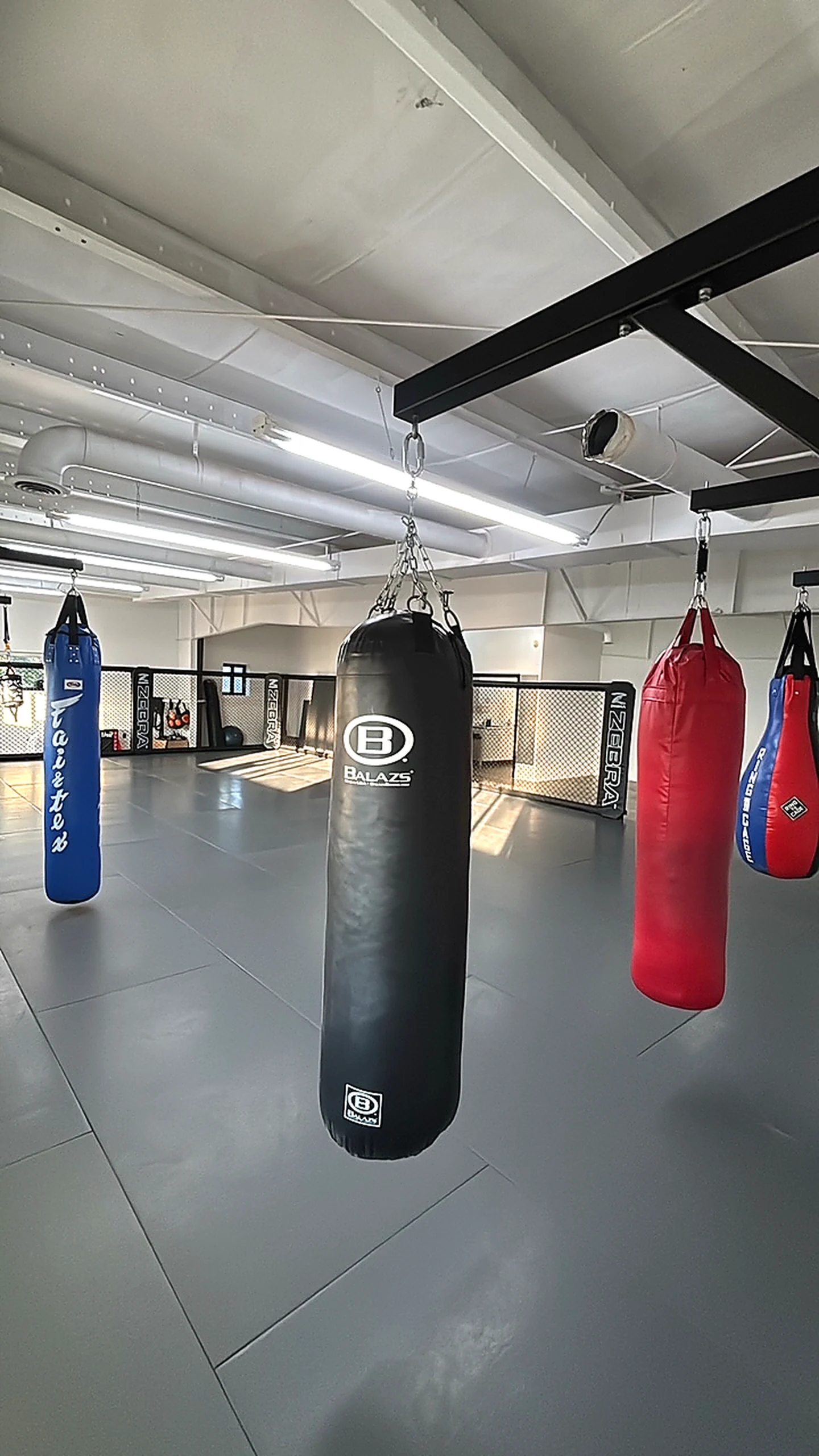 Heavy bags hanging over the Iron Shepherd training mats