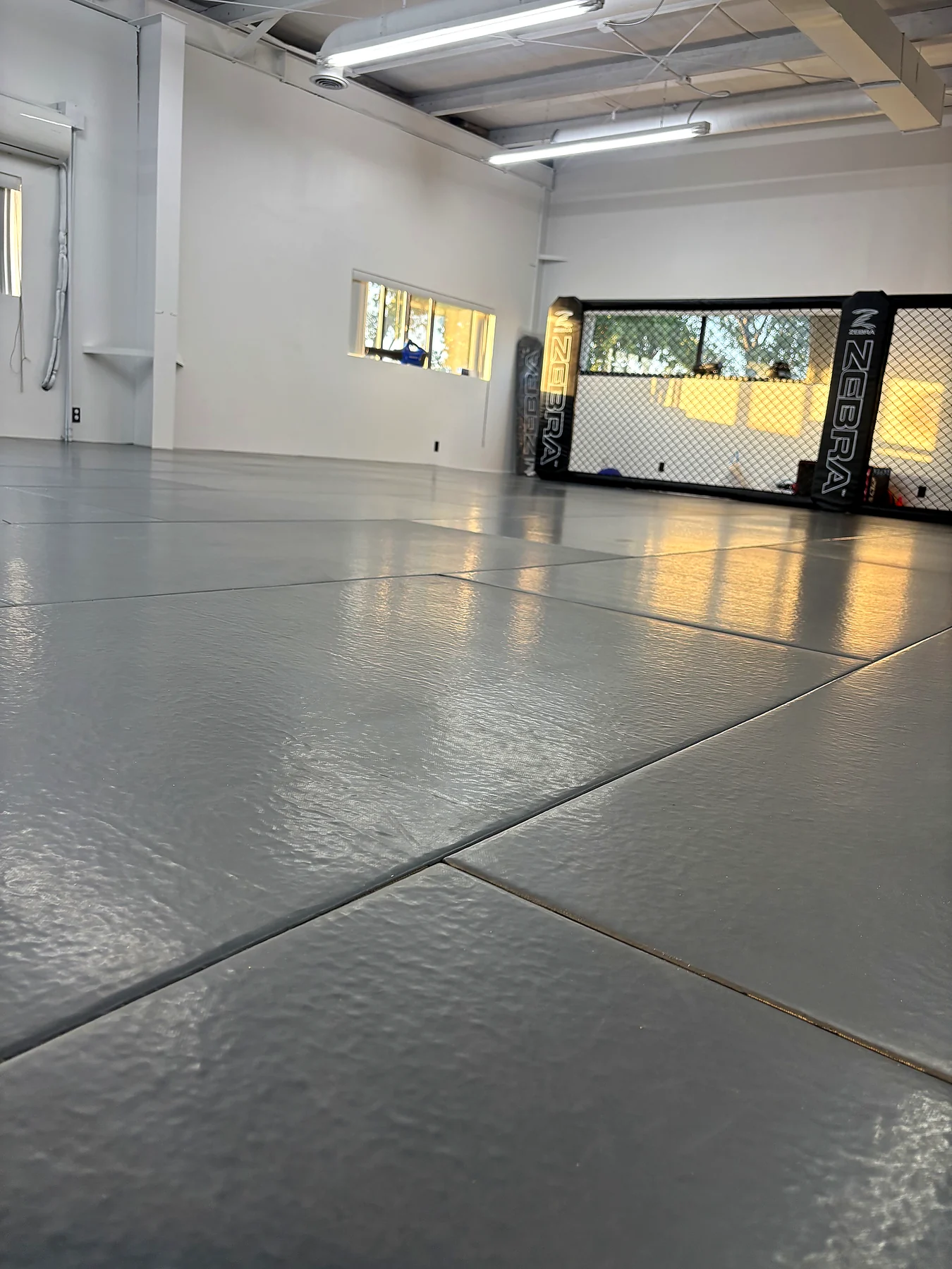 Low view across the training mats toward the cage