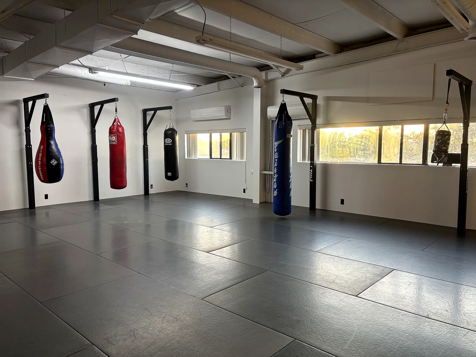 Open Iron Shepherd mat space with hanging heavy bags